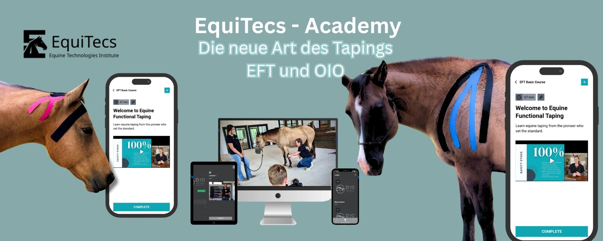 EquiTecs - Academy